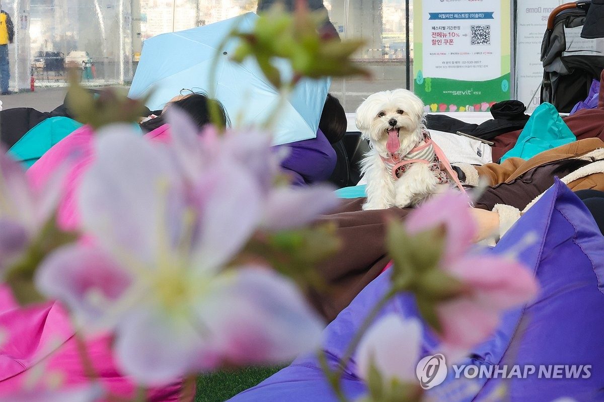 동물병원 피해구제 신청 급증…'검사 중 탈구' 등 진료과실 다수