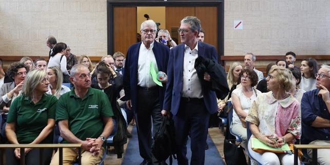 Olivier Bouygues et cinq de ses employés devant la justice pour avoir abattu des espèces protégées