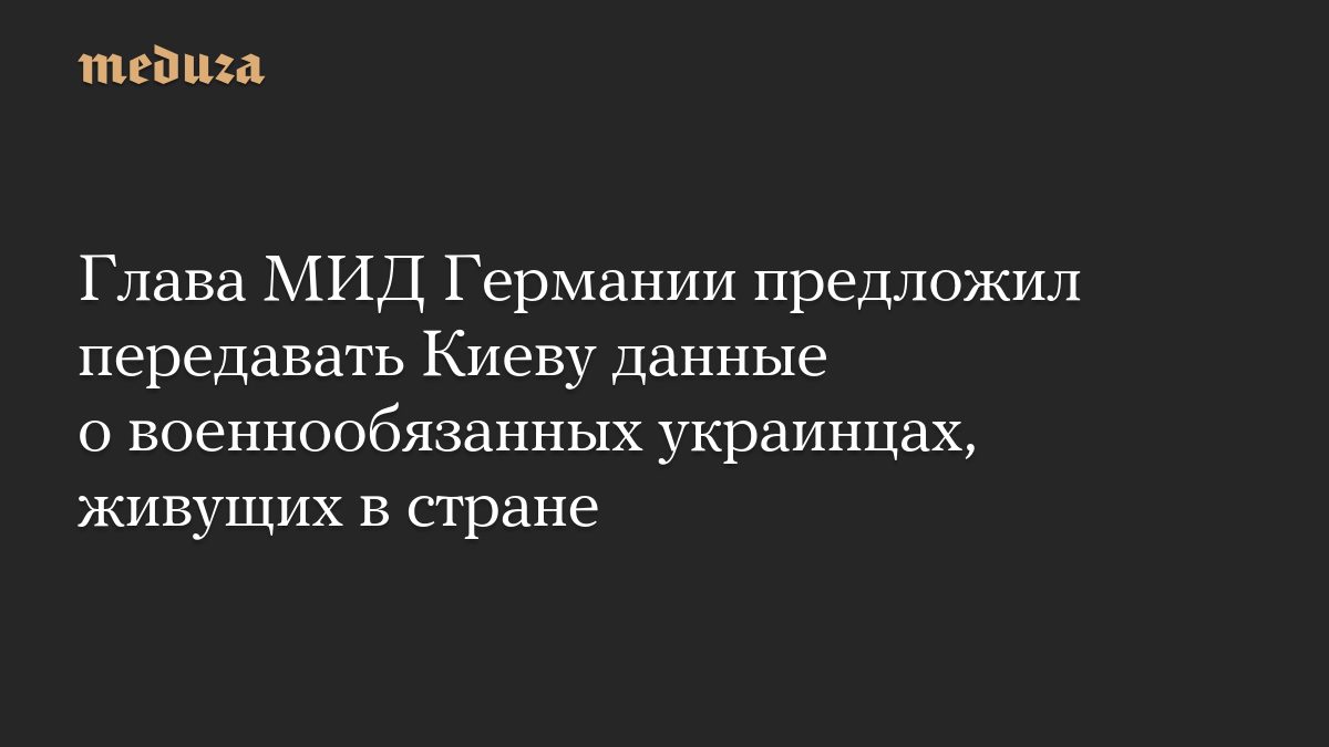 Глава МИД Германии предложил передавать Киеву данные о военнообязанных украинцах, живущих в стране