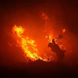 Enorme bosbranden in Indonesië zijn grootste bron van CO2-uitstoot ter wereld