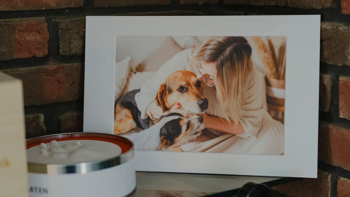 Trauer um Haustiere: Wie wird man mit dem Tod von Hund, Katze oder Kaninchen fertig?