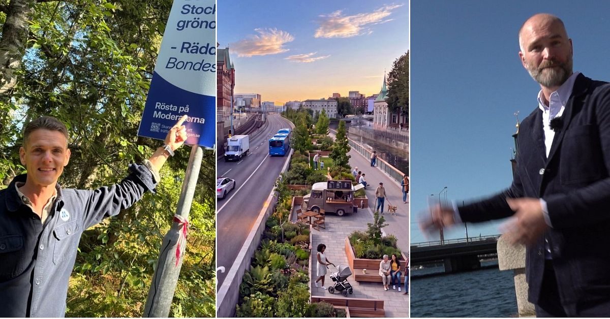 Gröna vallöften i Stockholm – räddade skogar och nya gågator