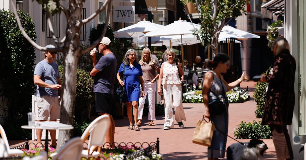 Bass or Raman for mayor? In Pratt's Pacific Palisades, some say that's no choice at all