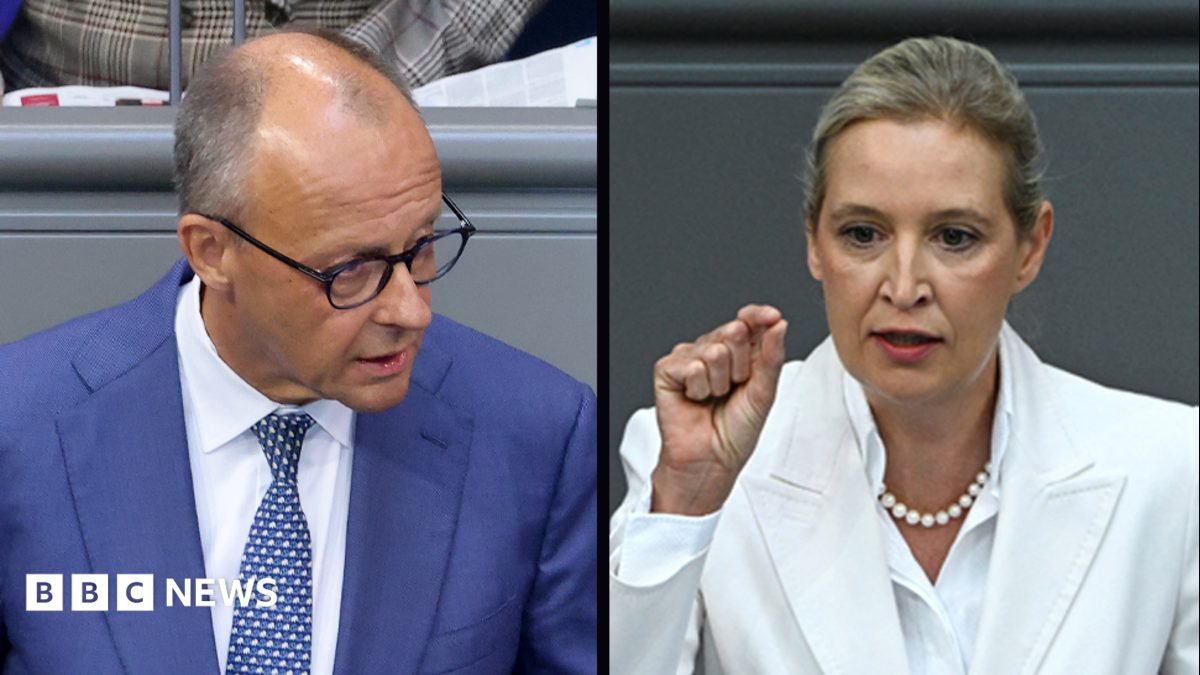 Germany's Merz attacks AfD in stormy debate after far-right election win