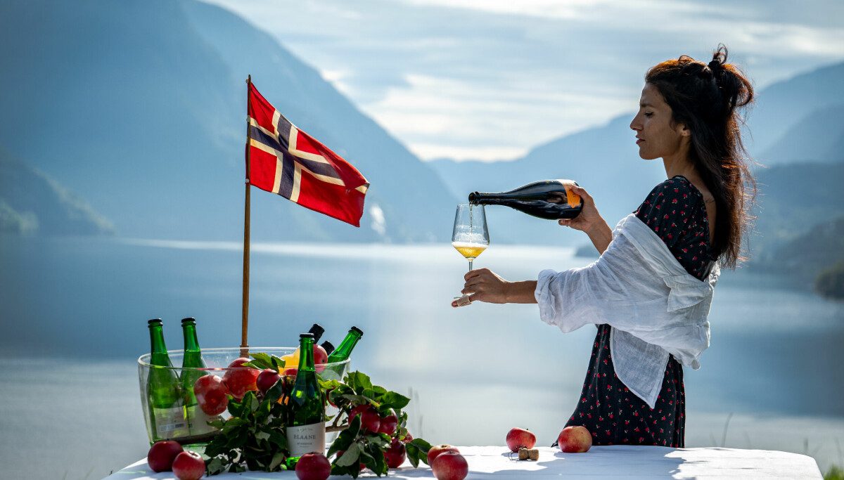 Tror gårdssalg av vin og sprit vil styrke Vinmonopolets posisjon