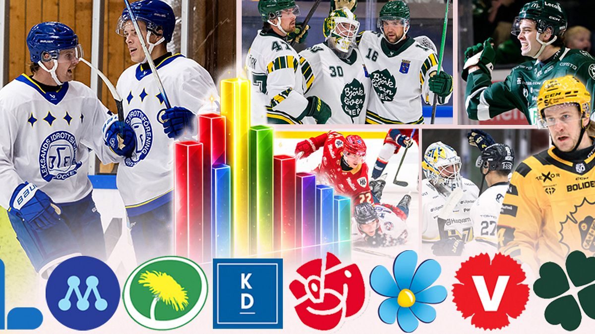 Så röstar SHL- och hockeyallsvenska spelarna i riksdagsvalet