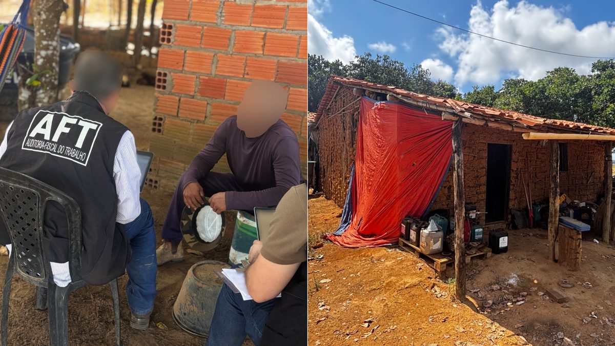 Auditoria-Fiscal do Trabalho resgata trabalhadores em condição análoga à de escravo em fazenda no Maranhão