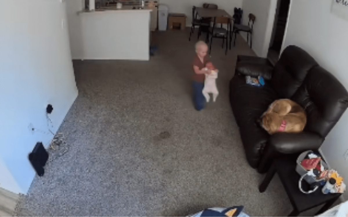 Mom Hears Baby Stop Crying, Then She Checks Security Cam
