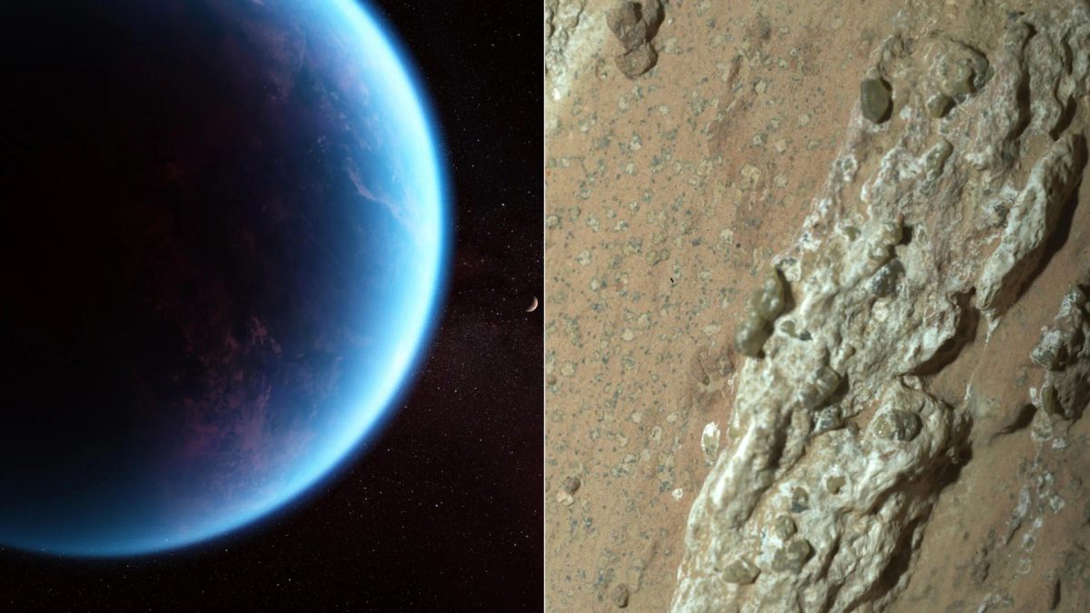 Have we found alien life? Hundreds of scientists weigh in