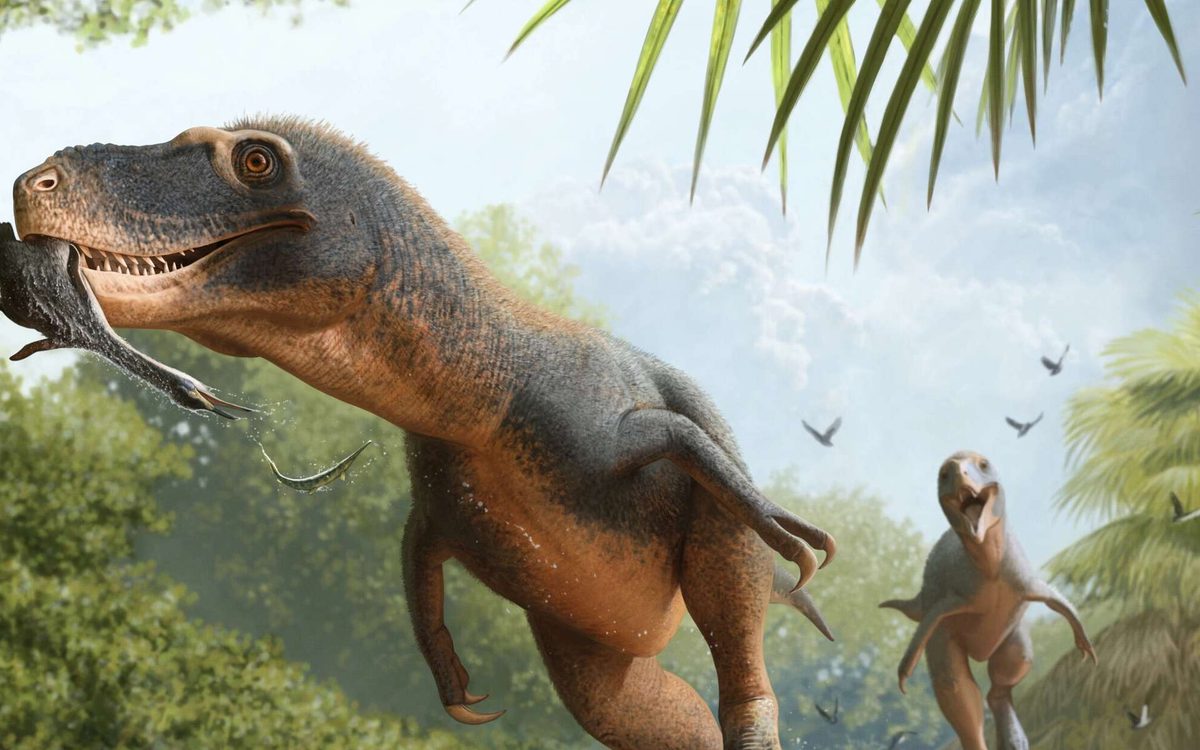 Ils ont retrouvé une crotte de dinosaure : une minuscule plume pourrait expliquer pourquoi certains oiseaux ont survécu