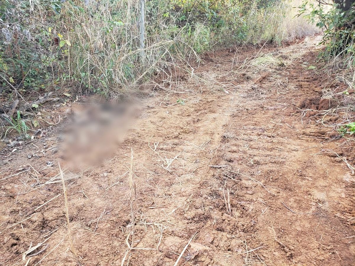 Ossada humana é encontrada em fazenda na zona rural de Riachinho