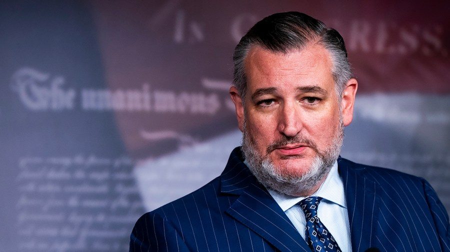Kudlow to Cruz: 'You might want to think' about announcing presidential bid in November