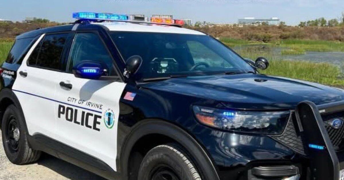 Domestic disturbance triggers SWAT response at Irvine home. Suspect flushed out with tear gas