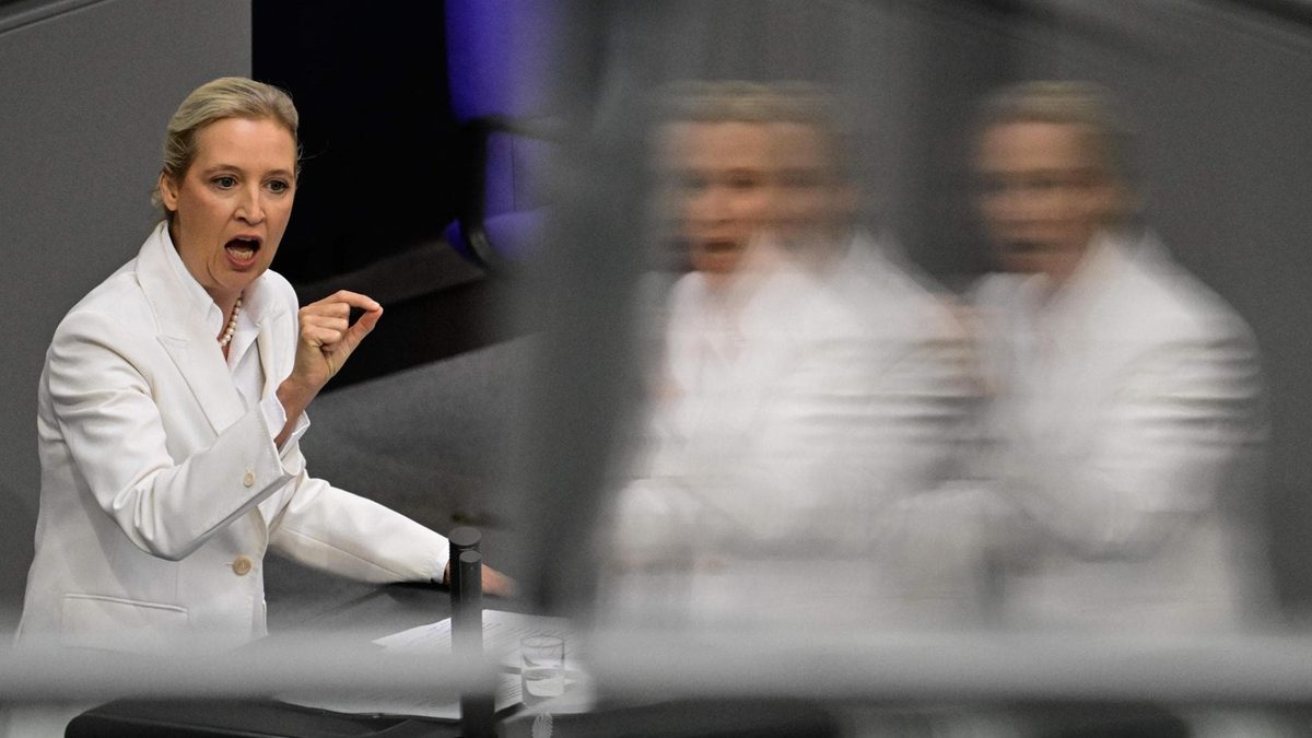 Mény: “Mettere l’Afd al bando è pericoloso per la democrazia, servono risposte agli elettori”