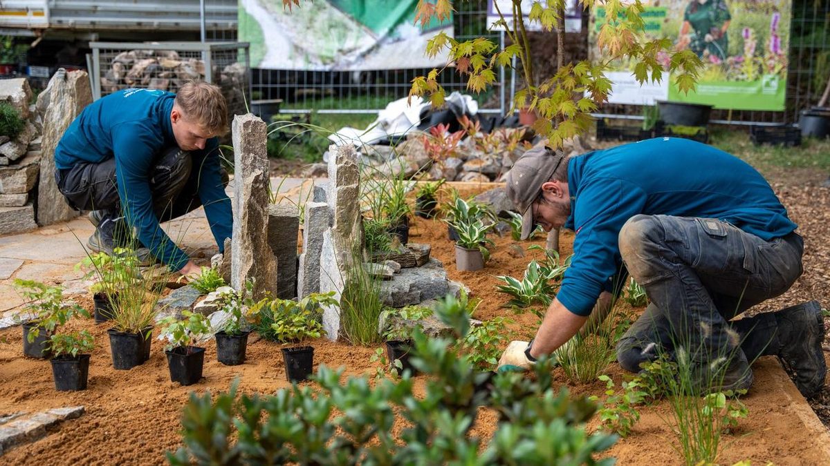 Internationaler Wettbewerb: Sächsische Landschaftsgärtner starten bei Berufe-WM in China