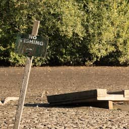 Augustus was warmste maand ooit, nog voordat El Niño echt heeft toegeslagen