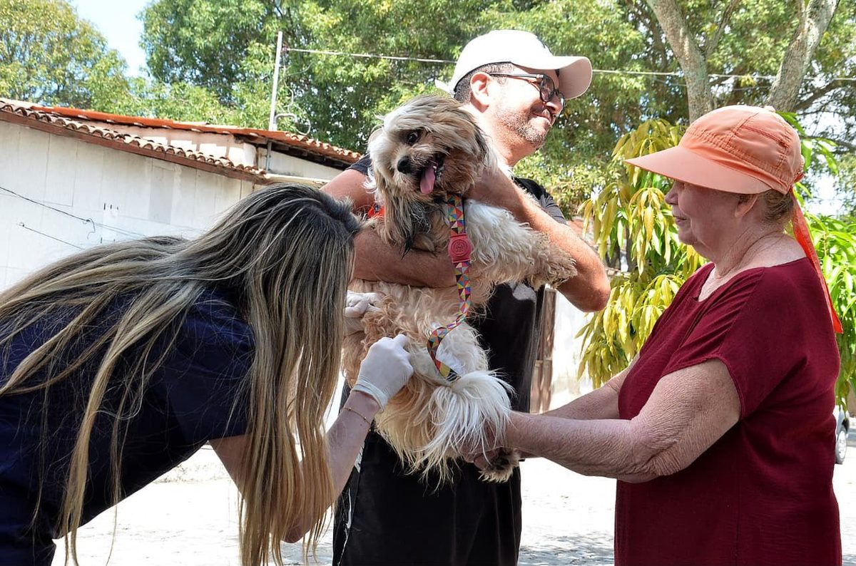 Segundo ‘Dia D’ de vacinação antirrábica acontece neste sábado (12) em Campina Grande; veja locais