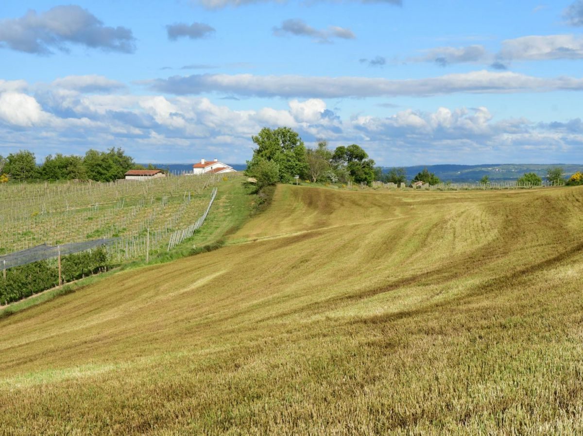 Pesticides : le cap des 1 000 victimes franchi pour la première fois