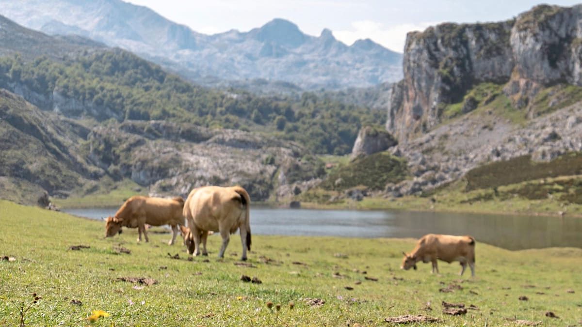 Asturien – So still, grün und kühl kann Spanien sein