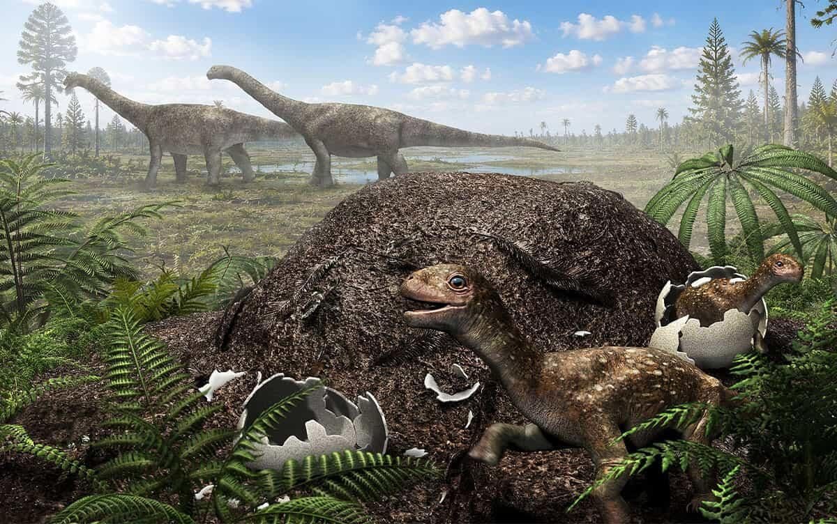To Researchers' Surprise, This Giant Dinosaur Laid Eggs in a Cold Climate