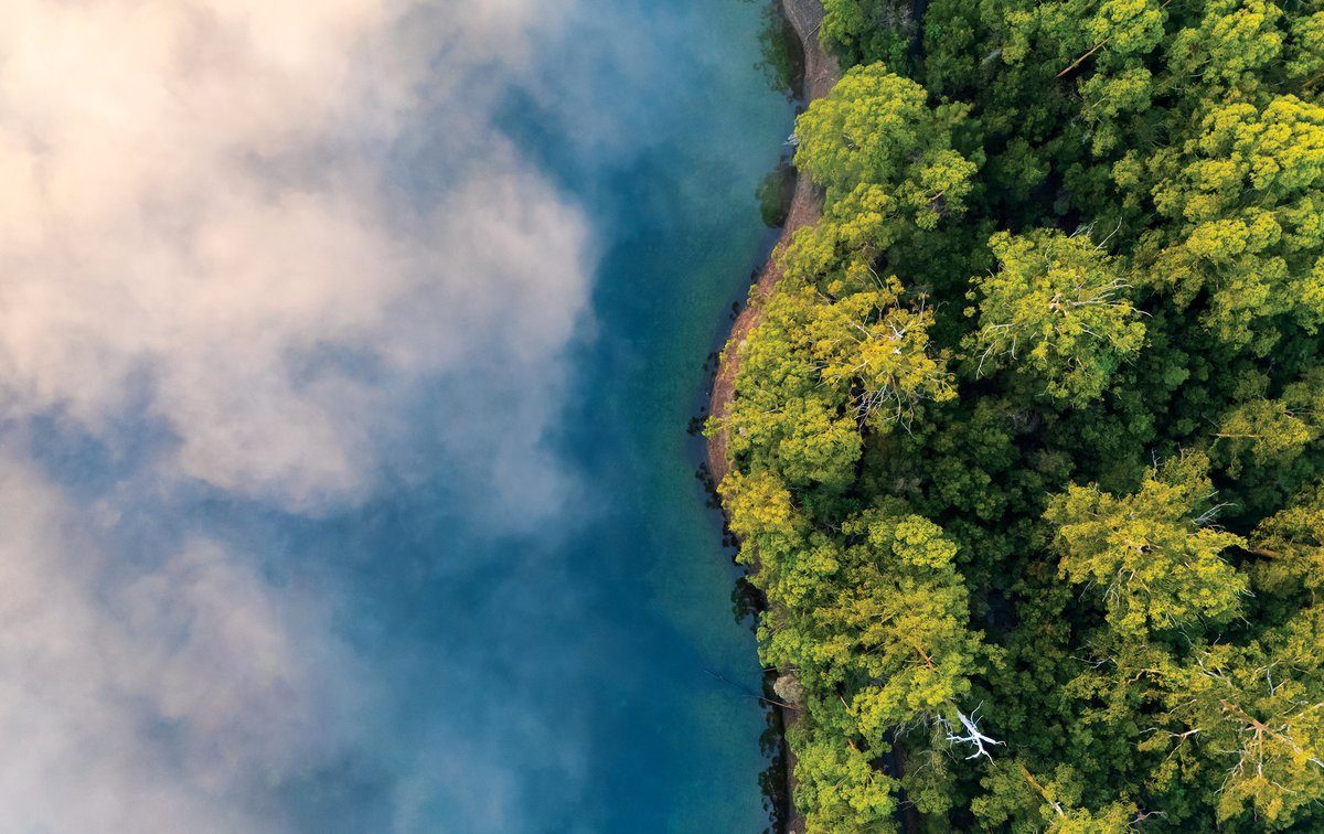 Fog may be hiding secret ecosystems