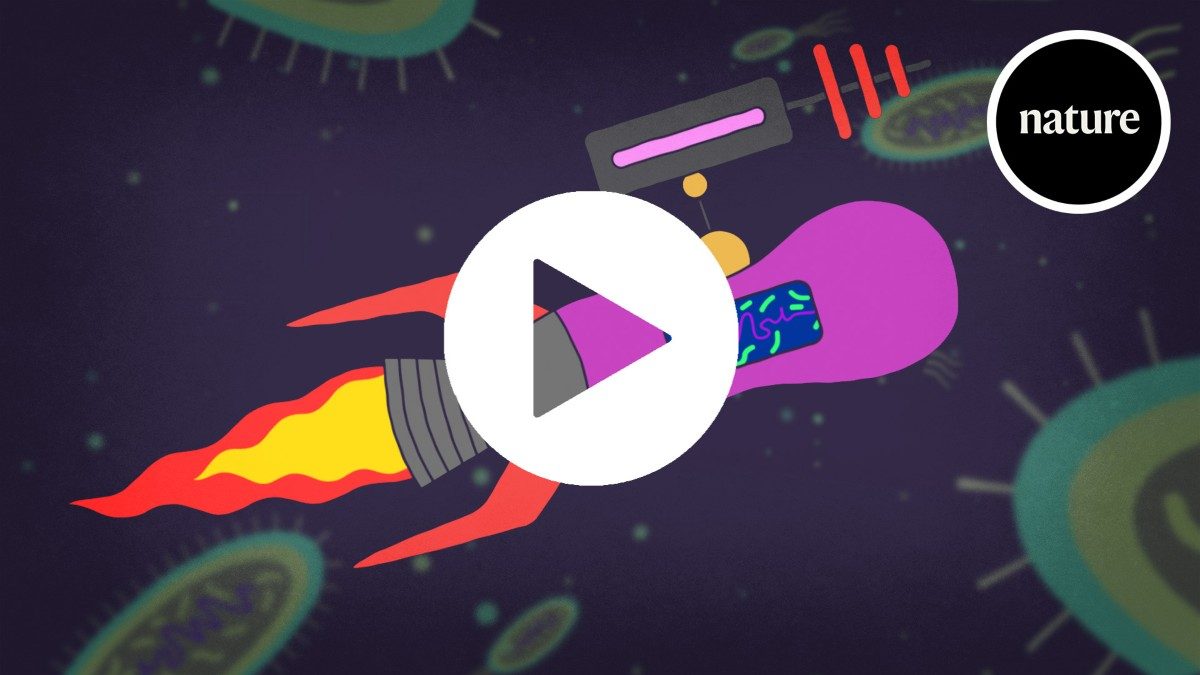 Bacteria recruited to treat cancer
