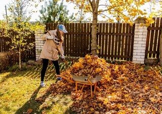 L’automne arrive, que faire au jardin ? Posez toutes vos questions à notre spécialiste, il vous répondra en direct