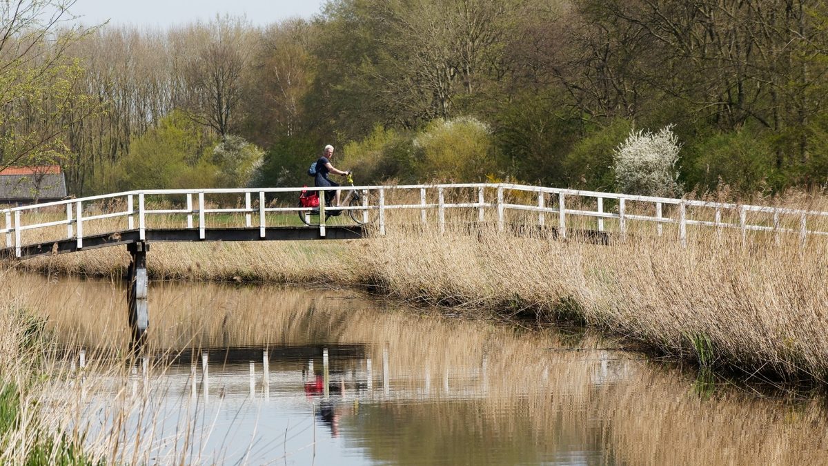 Oproep om waakzaam te zijn in Delftse Hout na reeks aanrandingen en mishandelingen