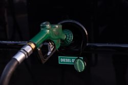 Stubborn Inflation and the Midterm Elections