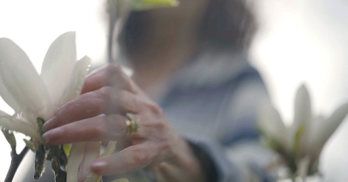Christina först i Norden med nya händer från avliden