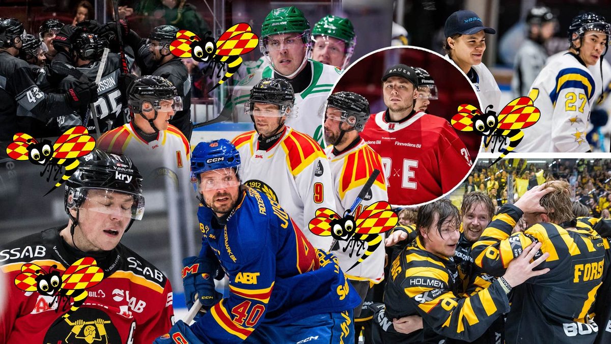 Stor ranking: Så bra är alla SHL-lag – getingbetyg på alla lagdelar