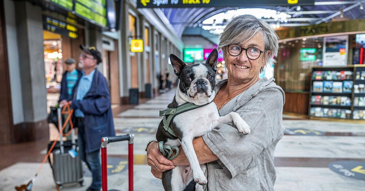 ”Det känns som att flygskammen har försvunnit”