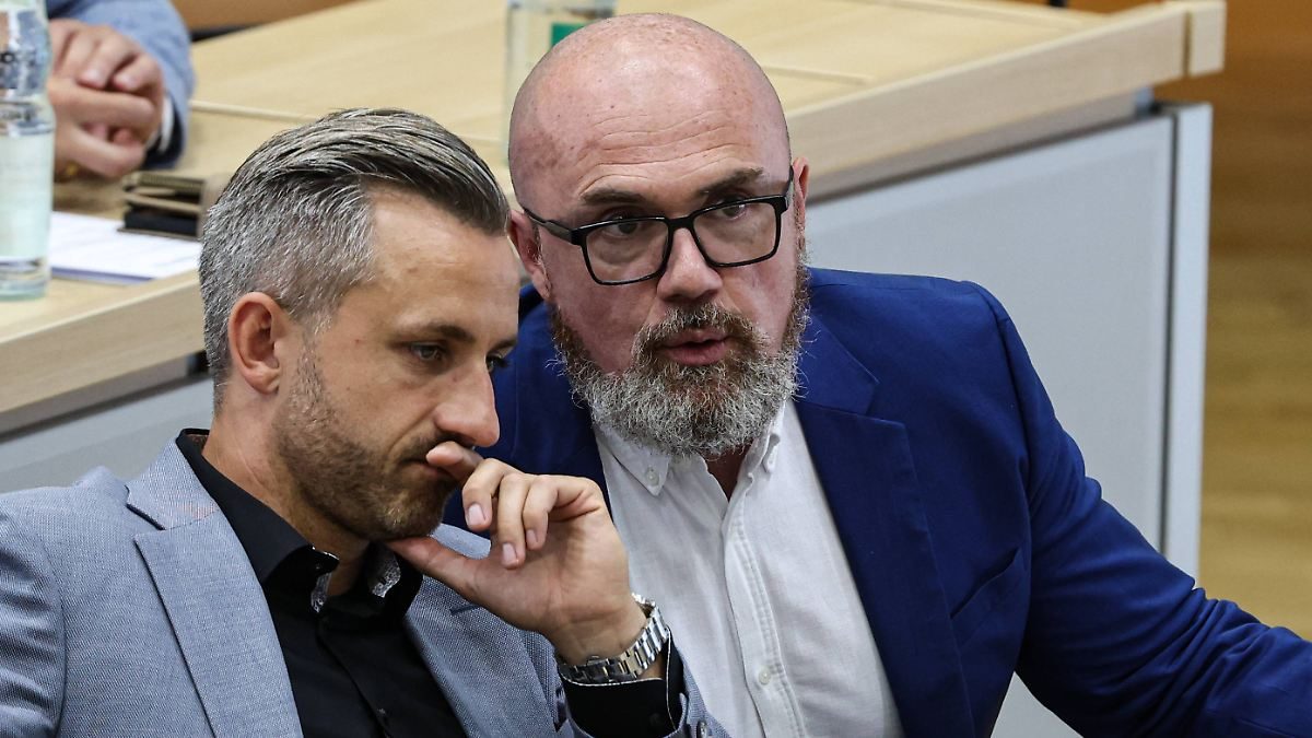 Ex-HDJler, Influencer, Maaßen: Das sind die AfD-Männer, die Sachsen-Anhalt regieren könnten
