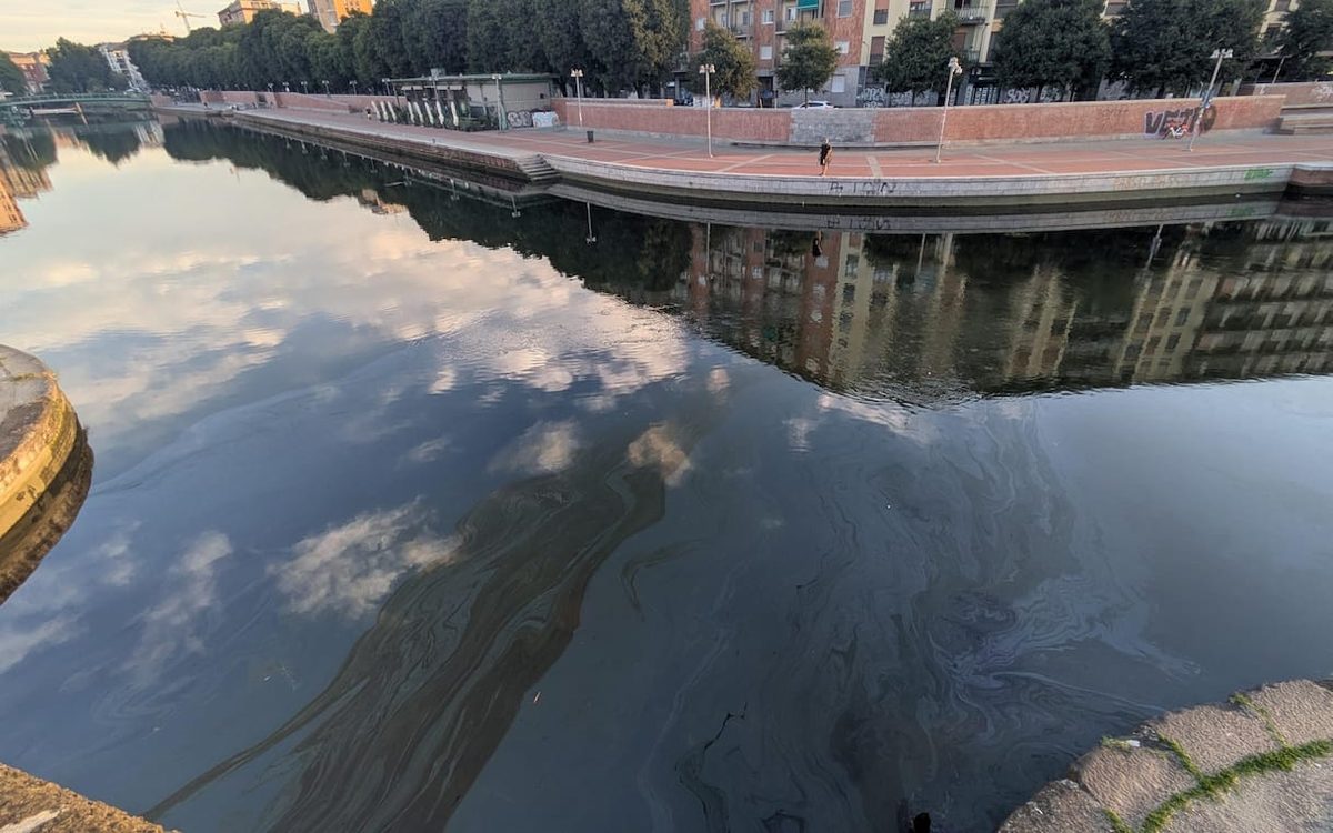Nuovo sversamento nel Naviglio milanese: "È un'azione dolosa". Verifiche in corso