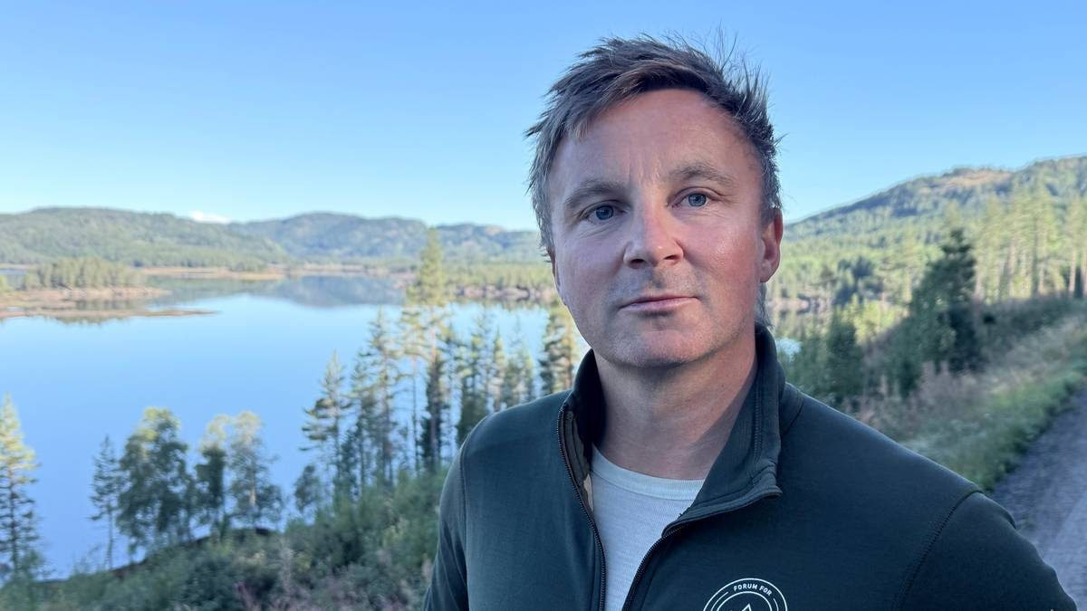 Frykter vindkraftutbygging i Skien: – Det vil bli naturrasering