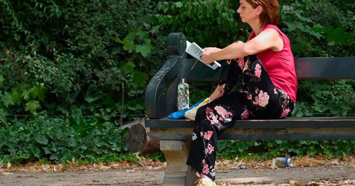 Météo: un temps sec avec de belles éclaircies avant l'arrivée des nuages