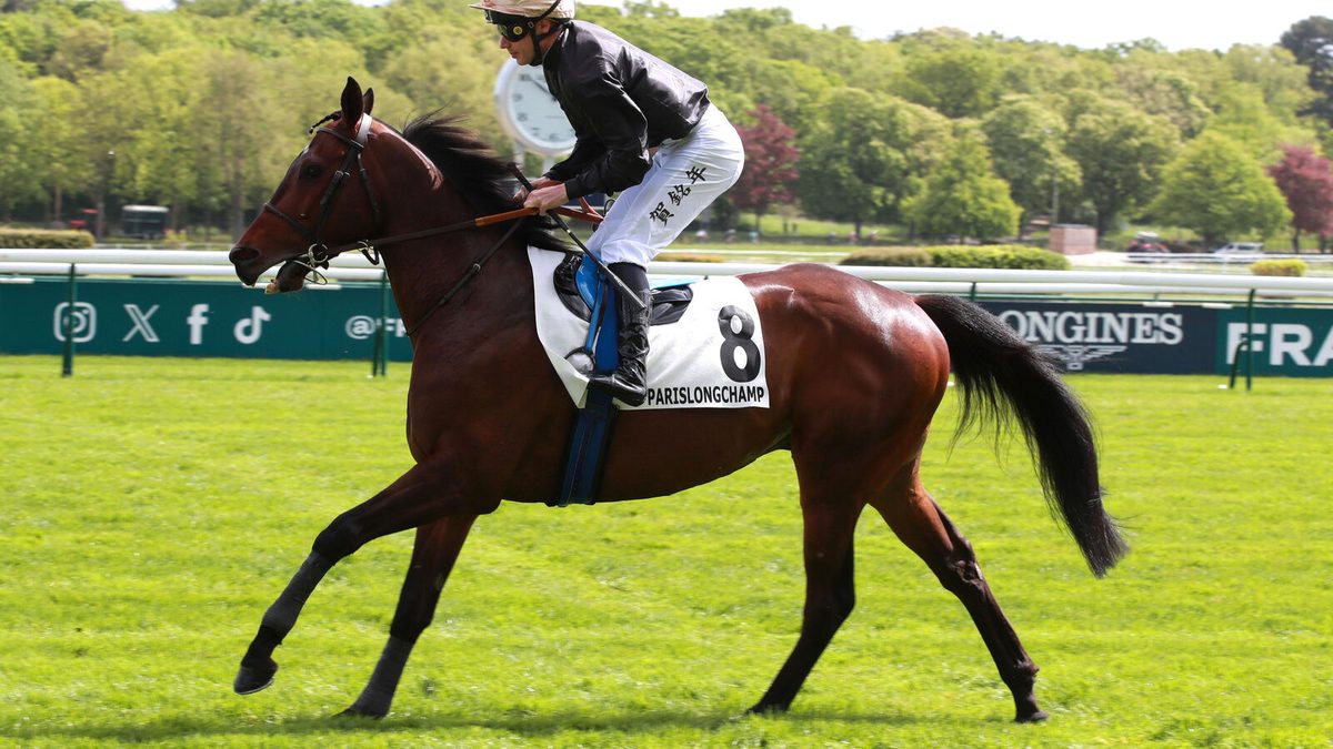 Nos pronostics pour le quinté du dimanche 13 septembre à ParisLongchamp