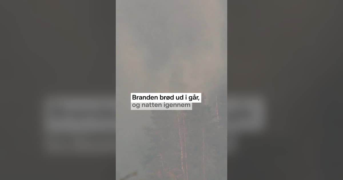 Næsten 200 hektar fyrreskov brændt i Bulgarien