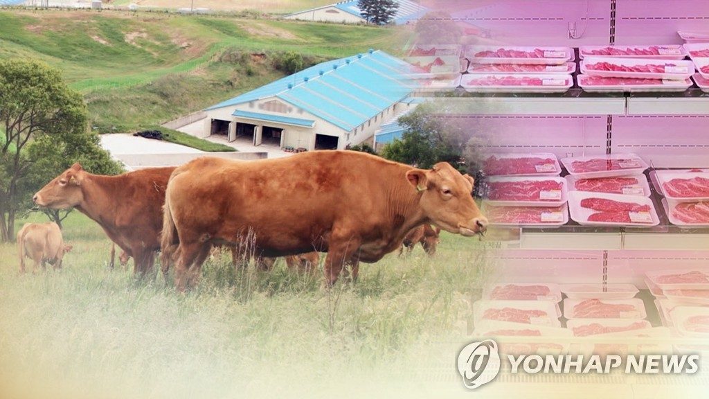 40억대 한우 빼돌려 헐값 판매…20억 챙긴 축산조합 직원 5년형