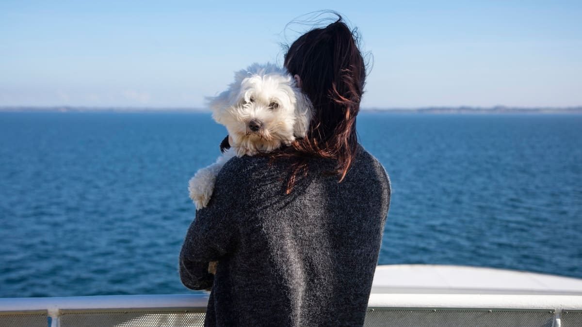 Expertin verrät - 8 Gründe, die gegen einen Hund sprechen