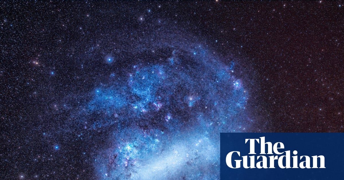 ‘One of the biggest discoveries in science’: have scientists found dark matter? – podcast