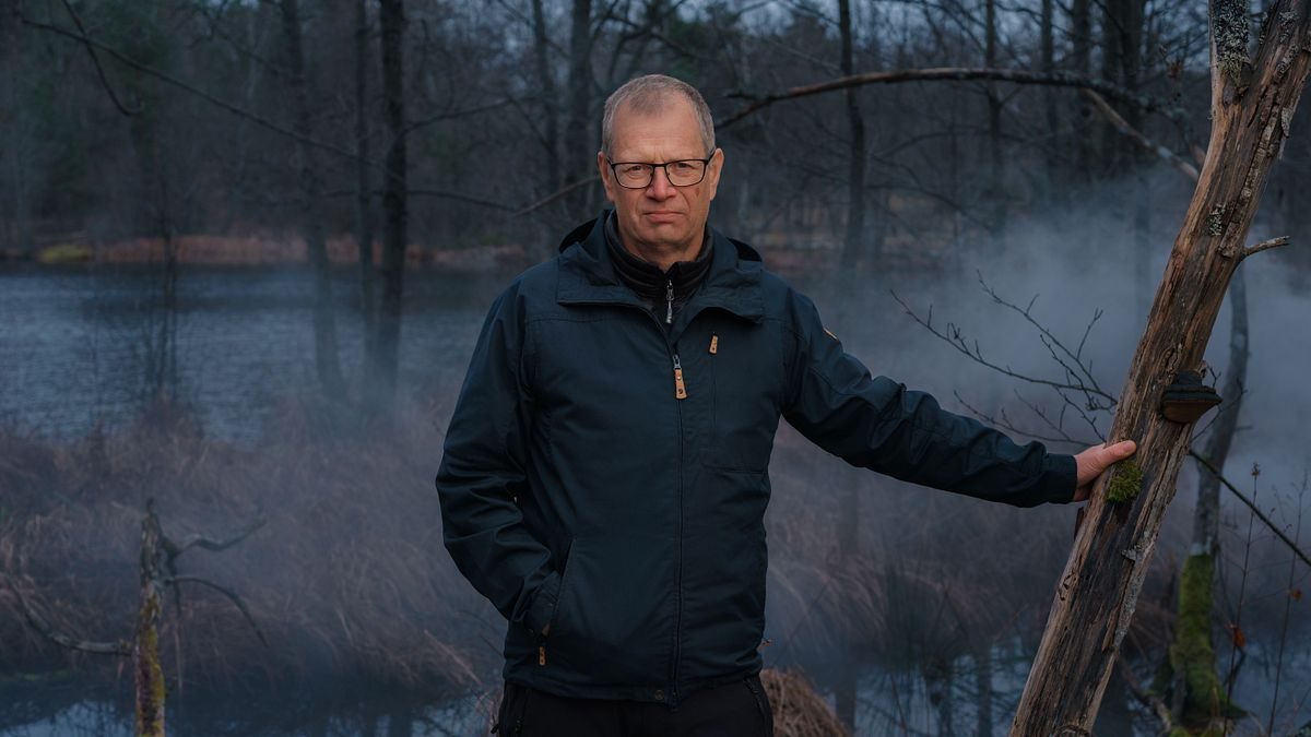 Det är detta professorer borde hålla på med