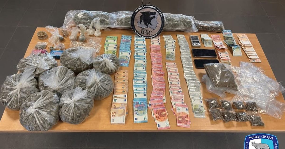 La Louvière: un suspect interpellé après avoir découvert 2,5 kg de marijuana et 96,55 grammes de cocaïne chez lui