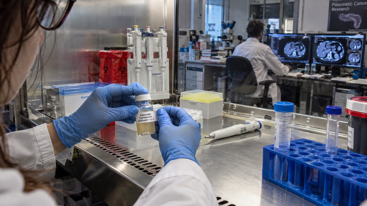 Tumore al pancreas, un batterio modificato affianca la chemio