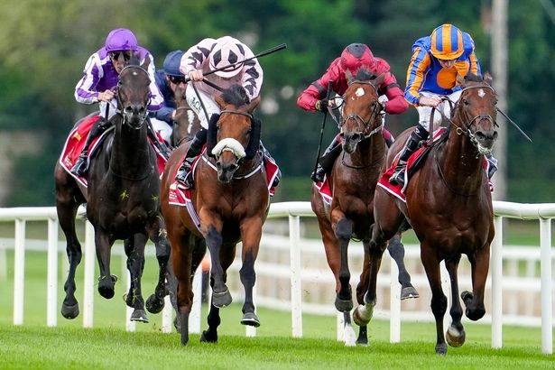 "He emptied out" - Aidan O'Brien reacts to Constitution River's shock Irish Champion Stakes defeat