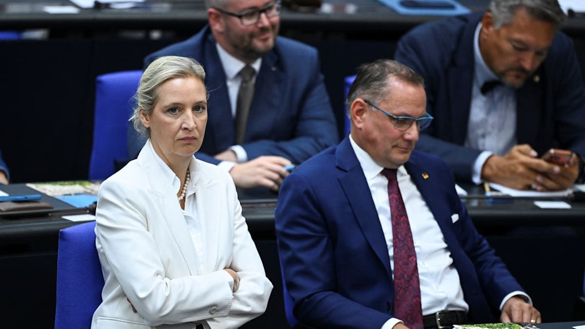 „Scheint völlig ausgeschlossen, dass AfD mit anderen Parteien zusammenarbeiten könnte“