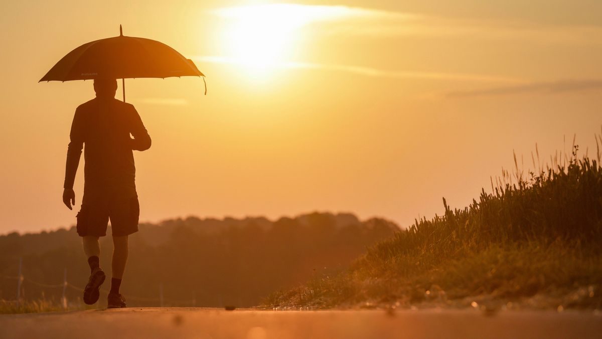 Klimakrise: Westeuropa erlebt heißesten Sommer seit Beginn der Aufzeichnungen