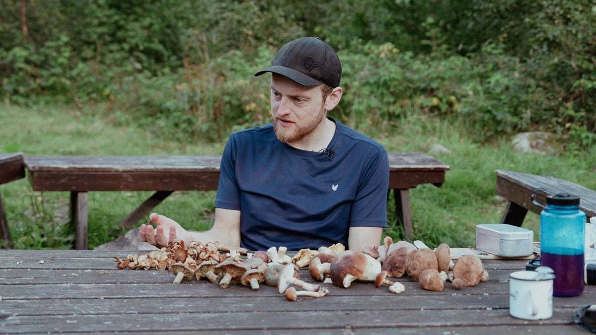 Fleire plukkar sin eigen mat: – Ein pause for hjernen