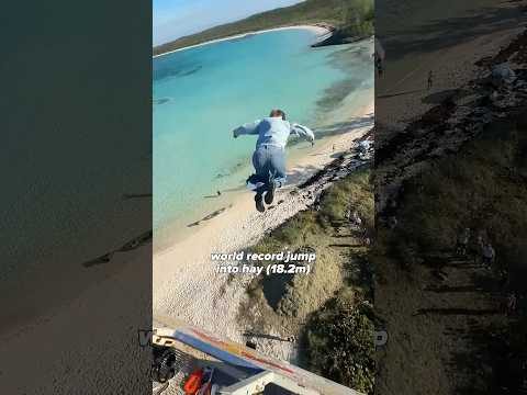 omg these pilots are absolutely losing their cool over a buttery smooth landing hahaha