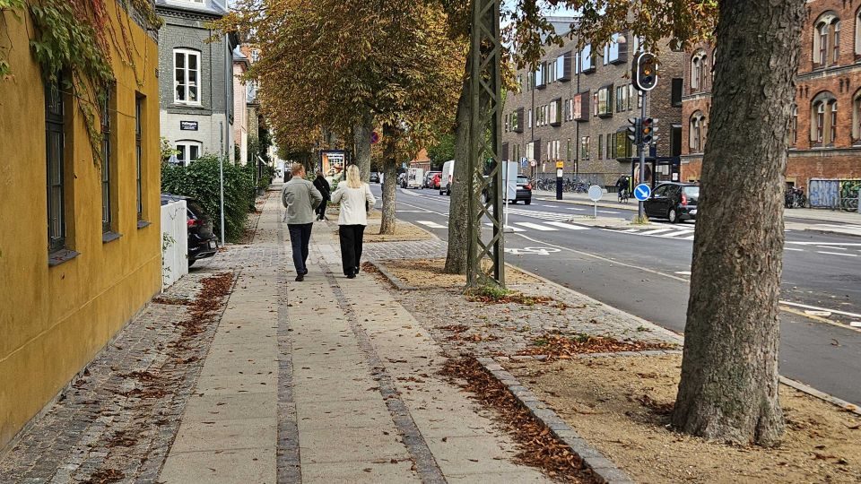 Brøler i København: Hævede fortov og sendte regnvand ned i kældrene